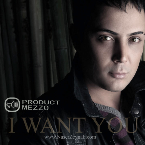 دانلود آهنگ ﻿تورو میخوام